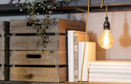 WN INTERIORS_WINGFIELD HOUSE_SHELVES CROP